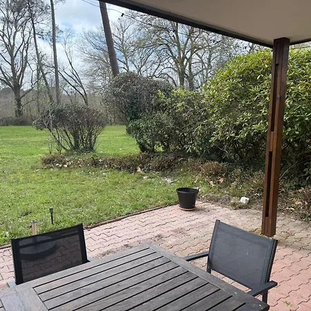 Hébergement de vacances - 3 - Plein Sud - Sans Vis-à-vis ! Salles (Gironde)